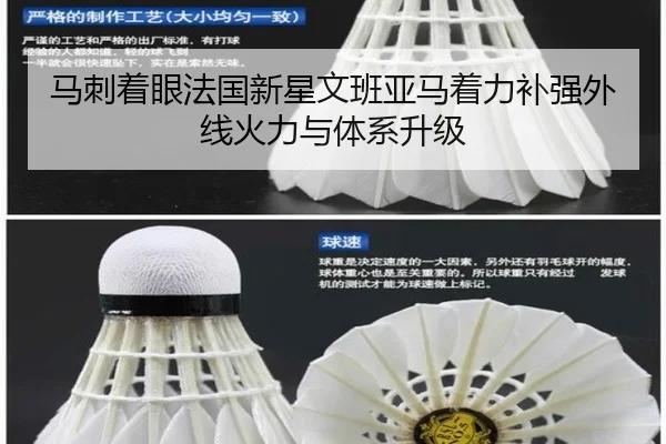 马刺着眼法国新星文班亚马着力补强外线火力与体系升级